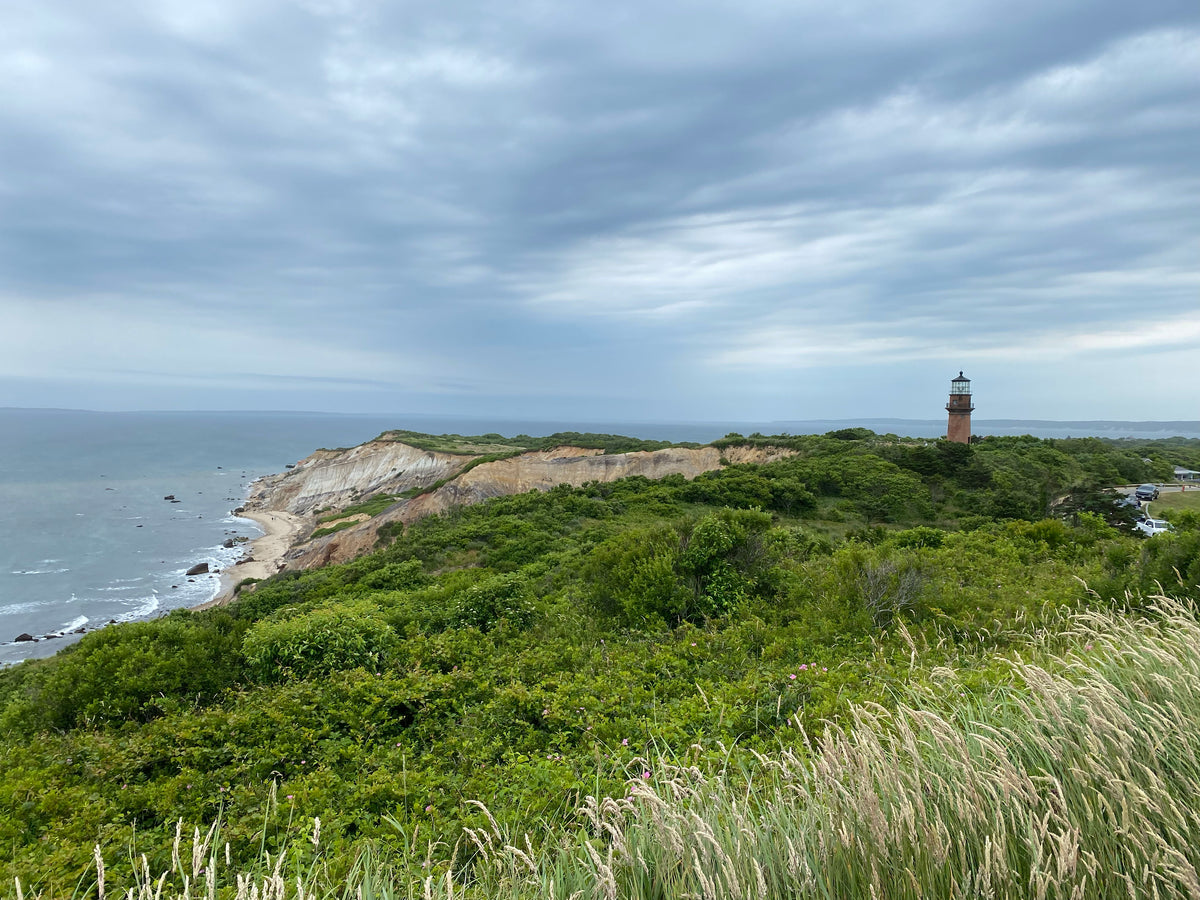 Martha's Vineyard: Fall Activities and Must-Visit Places – CONRADO®