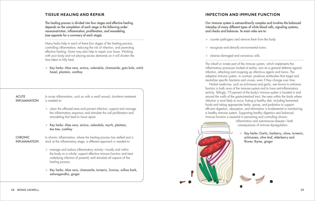 Home Herbal - Andrew Chevallier 