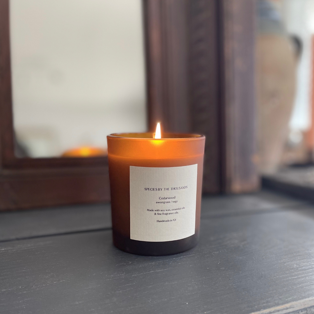Species by the Thousands - Cedarwood Sweetgrass + Sage Handcrafted Scented Soy Candle