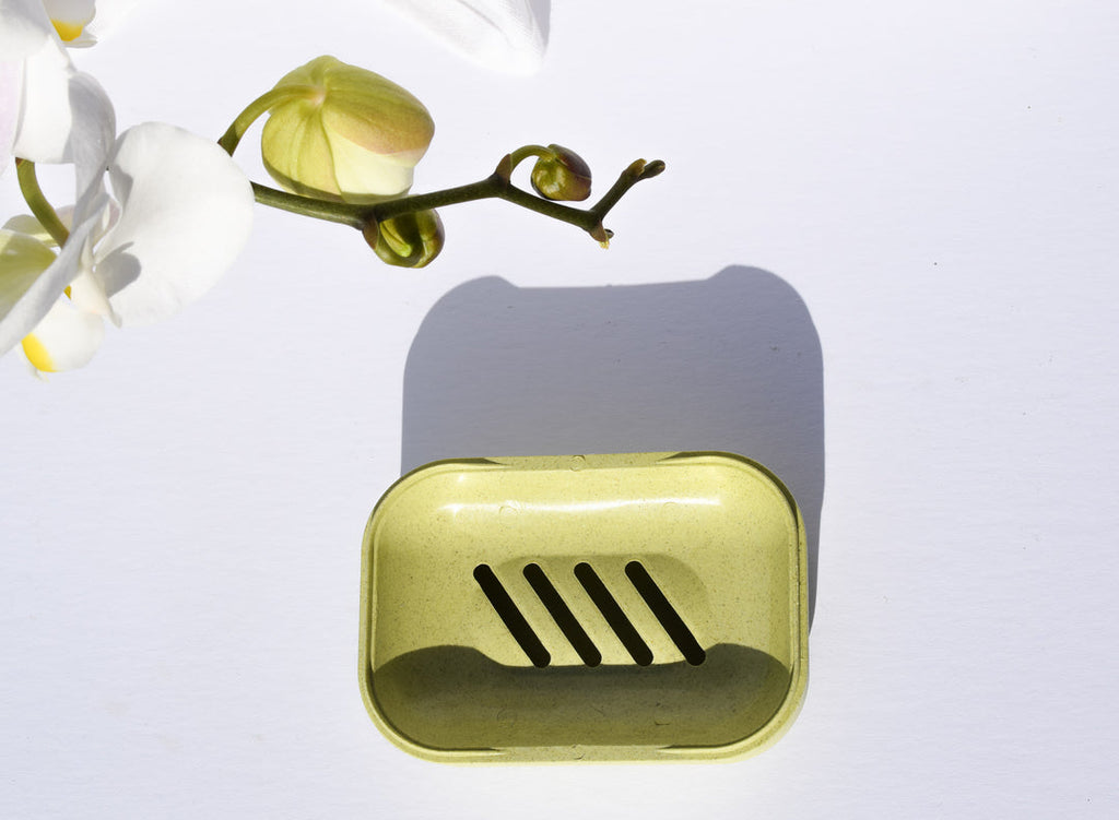 Flora Flora Biodegradable Soap Case Kiwi
