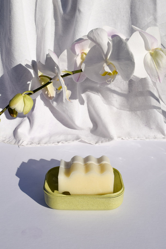 Flora Flora Biodegradable Soap Case