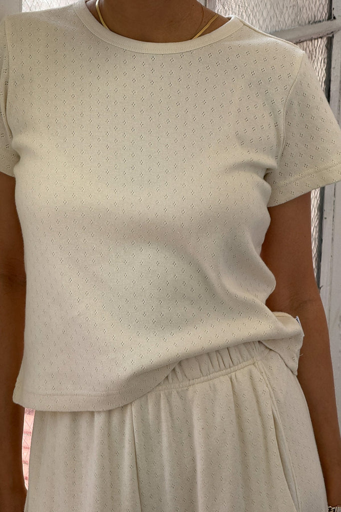 Le Bon Shoppe - Pointelle Baby Tee