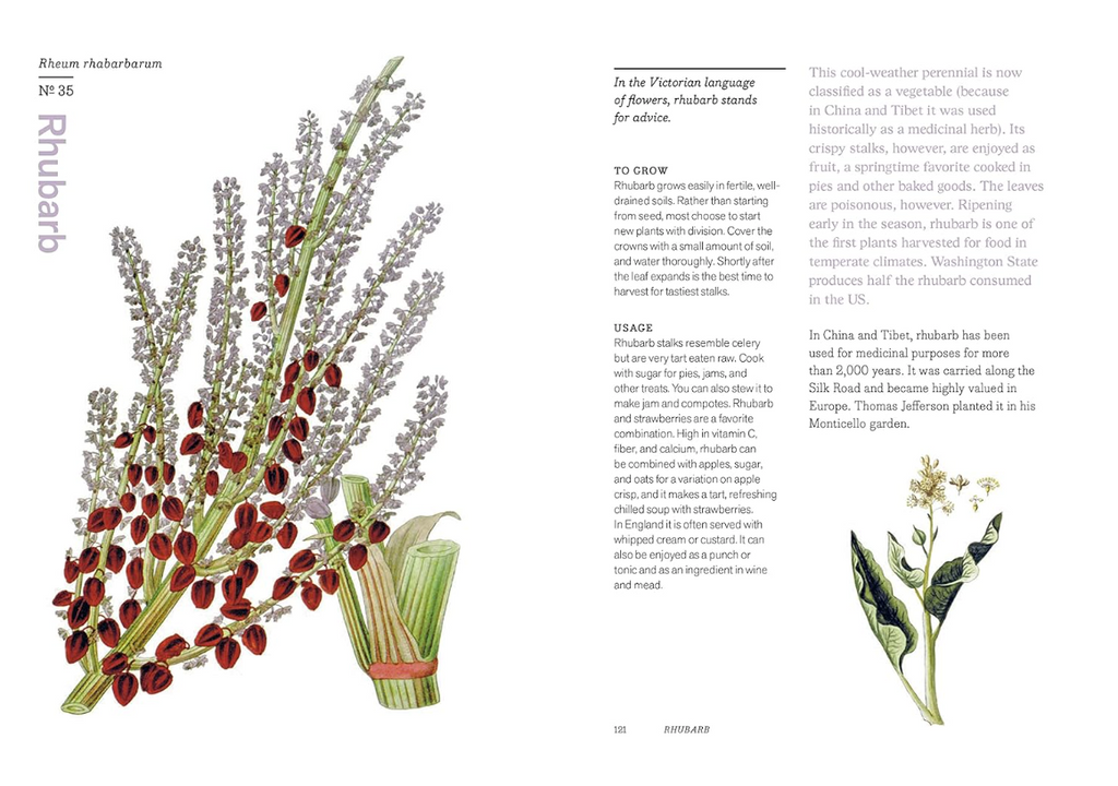 Herbal Handbook: 50 Profiles in Words and Art from the Rare Book Collections of The New York Botanical Garden