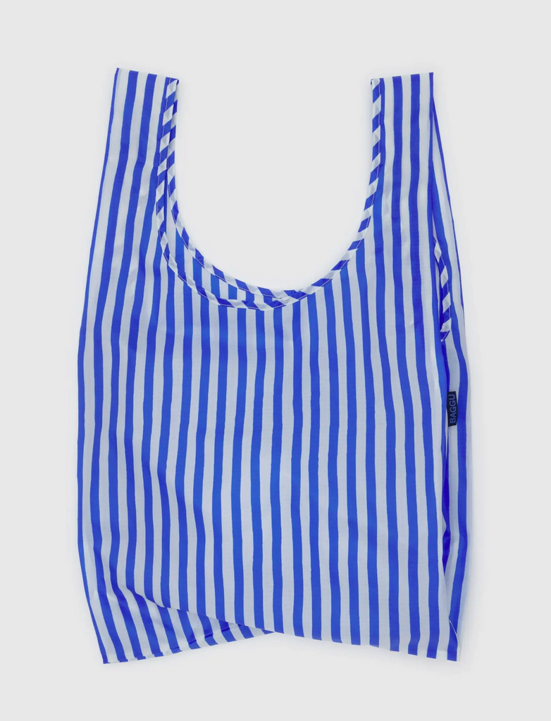 Reusable Standard Baggu Blue Painted Stripe