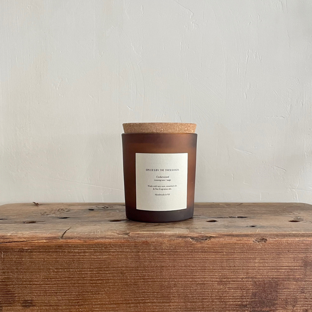 Species by the Thousands - Cedarwood Sweetgrass + Sage  Soy Candle