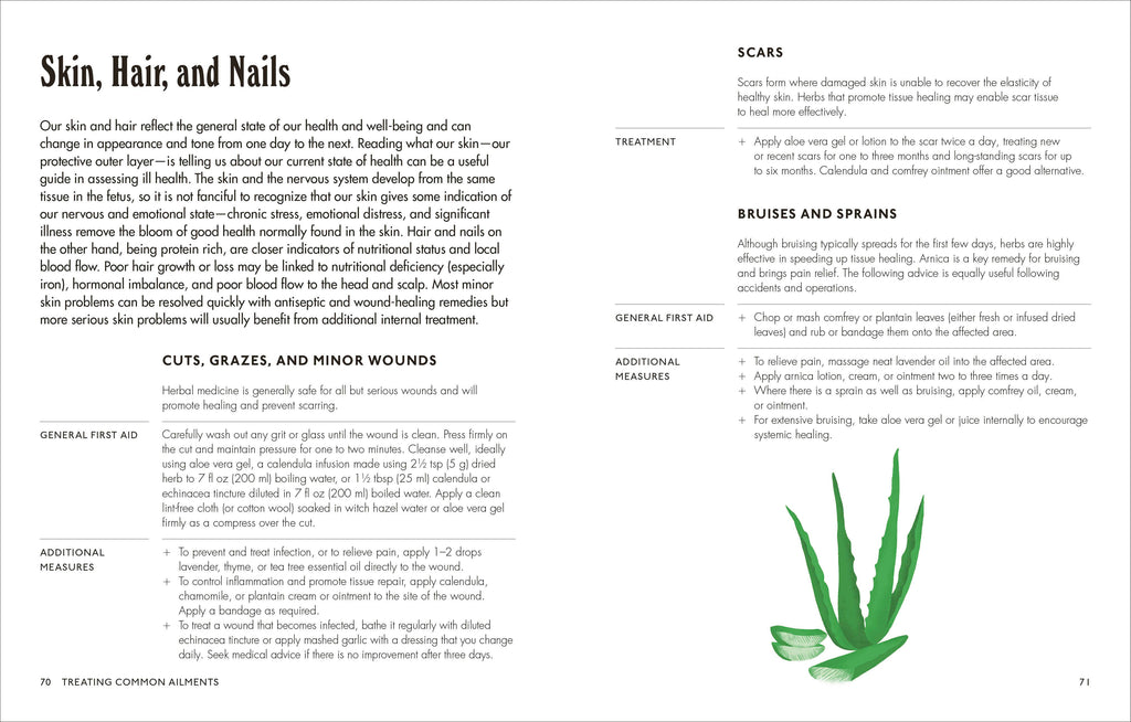 Home Herbal Cookbook