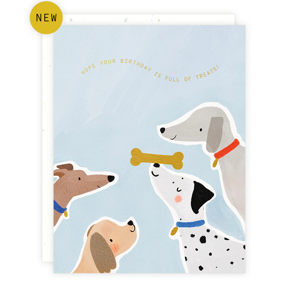 Someday Studio - Treats