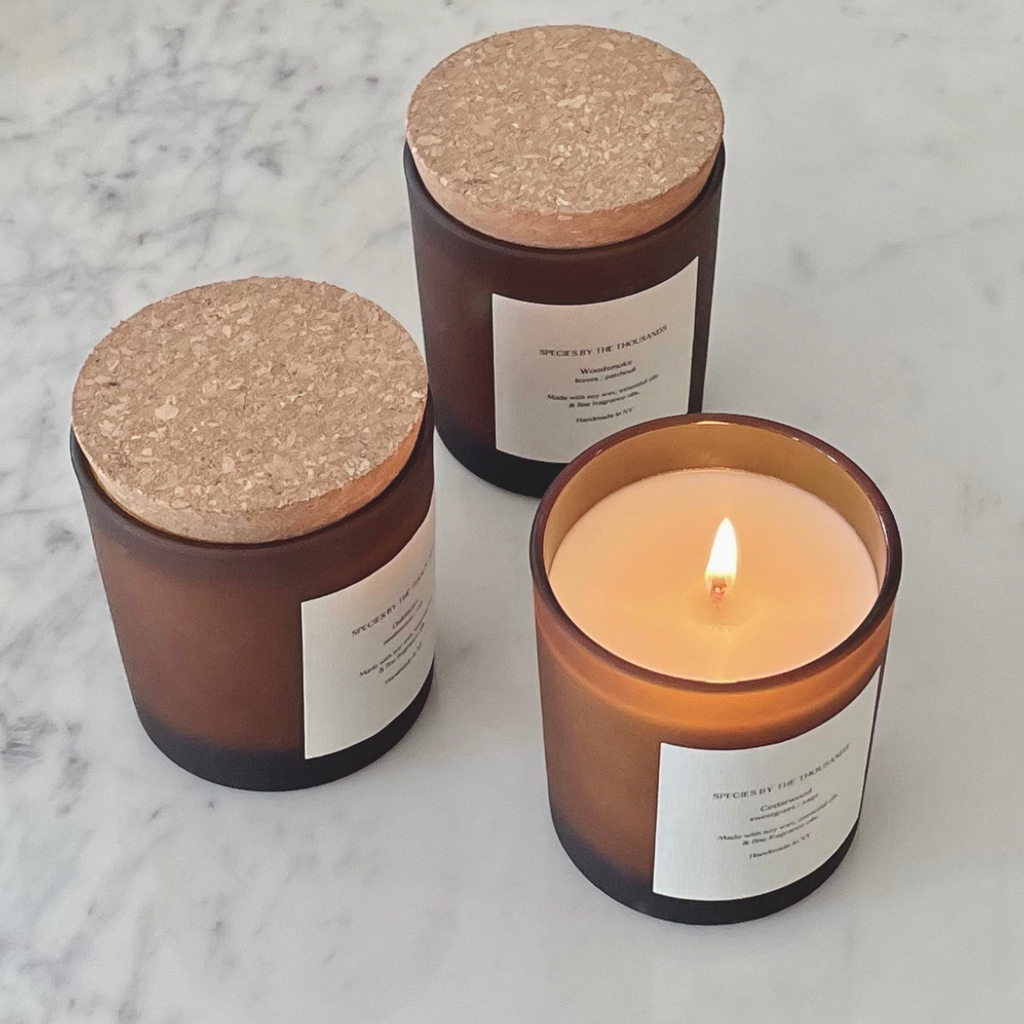 Species by the Thousands - Cedarwood Sweetgrass + Sage Handcrafted Scented Soy Candle